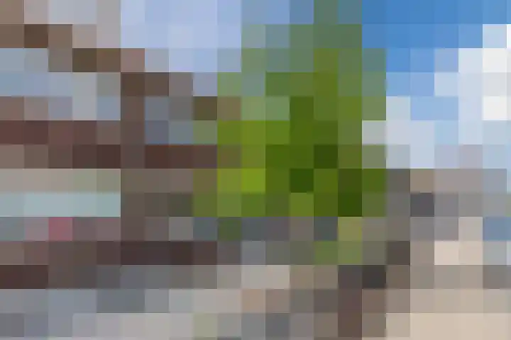 Dorpsstraat 342 C Assendelft thumbnail 6