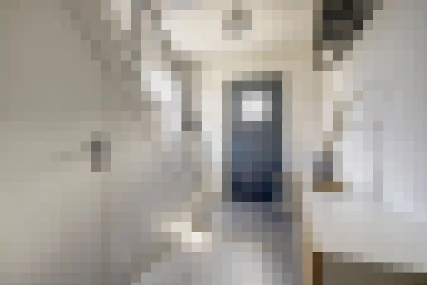 Dorpsstraat 35 Eckelrade thumbnail 11