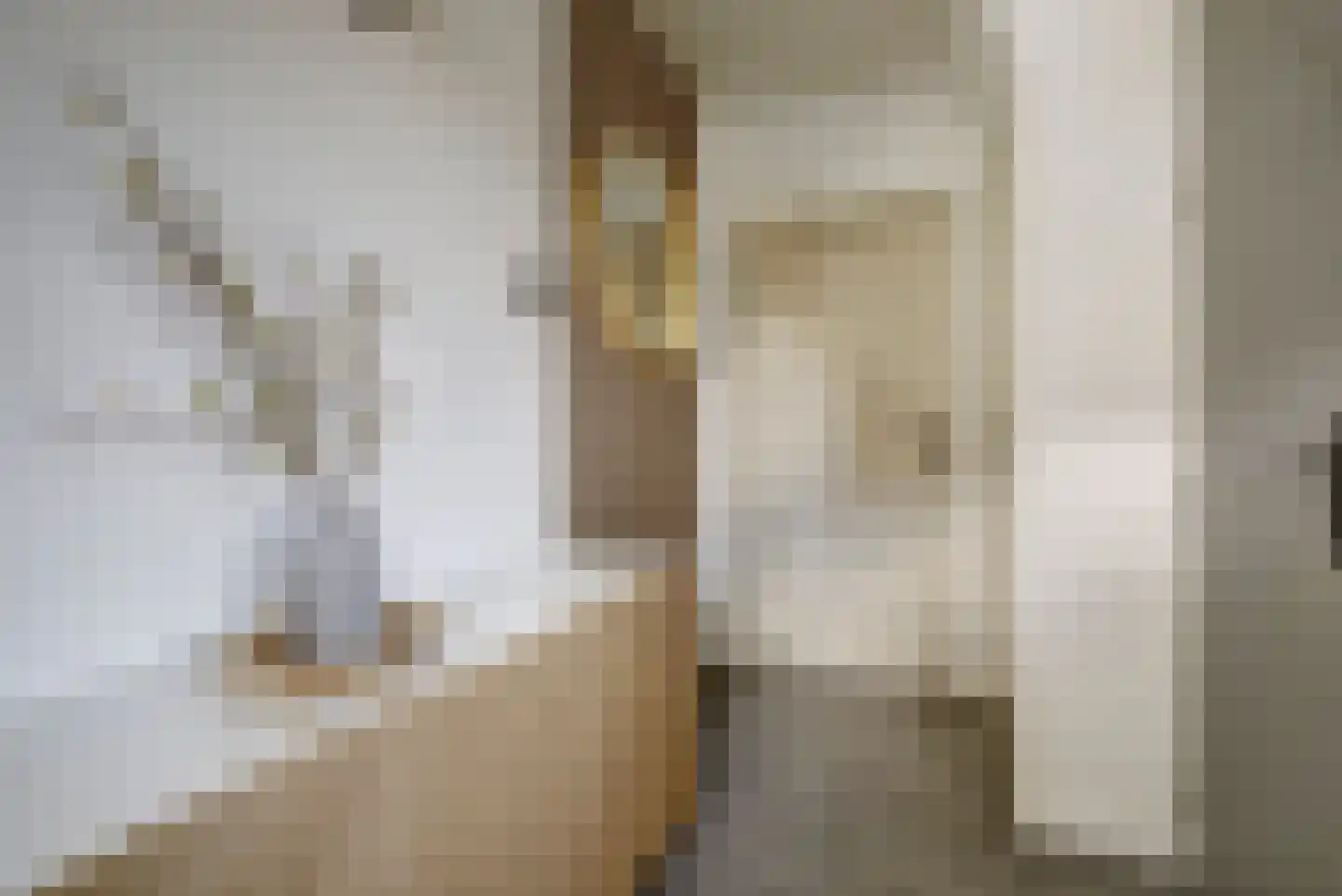 Dorpsstraat 35 Eckelrade thumbnail 14