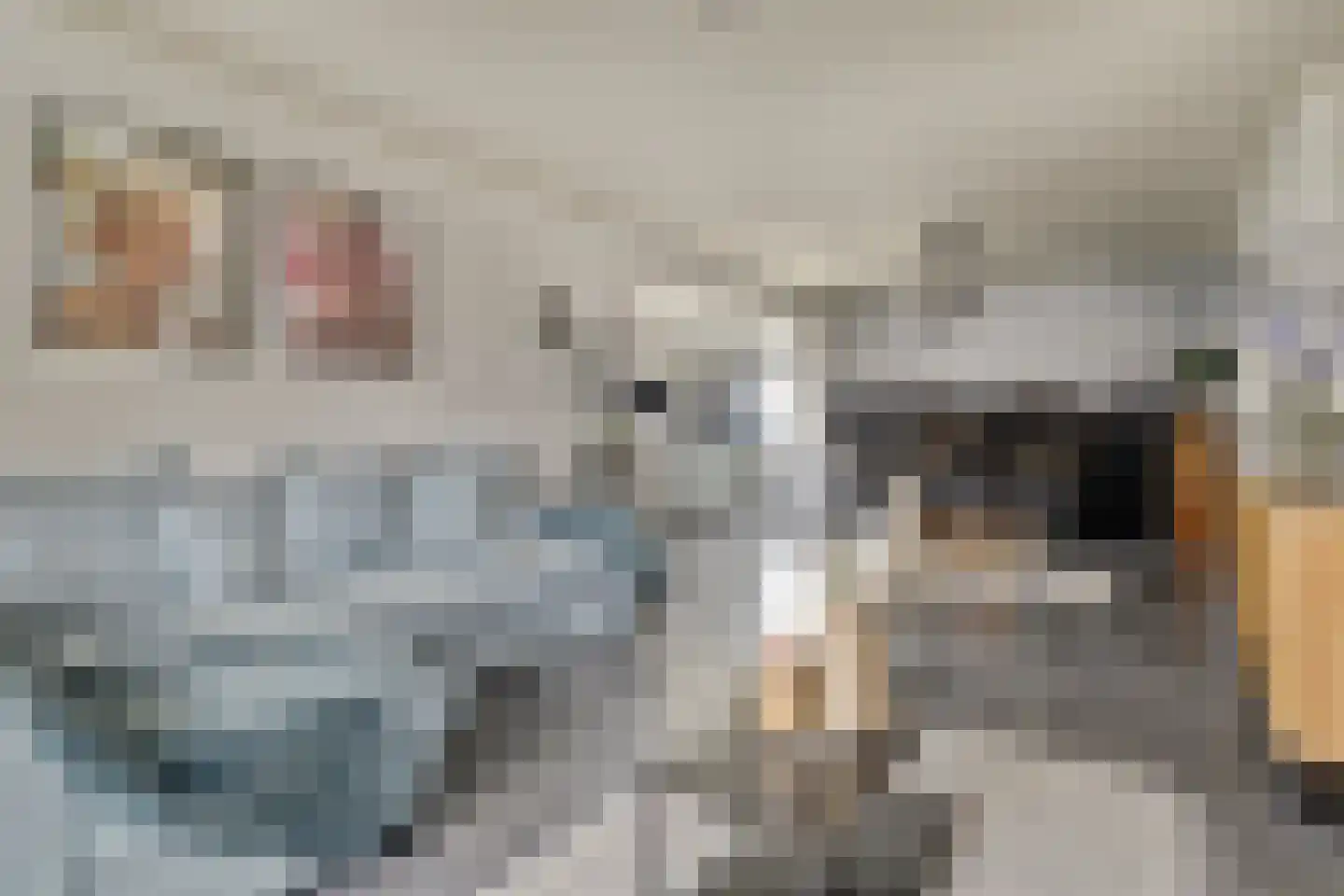 Dorpsstraat 35 Eckelrade thumbnail 16