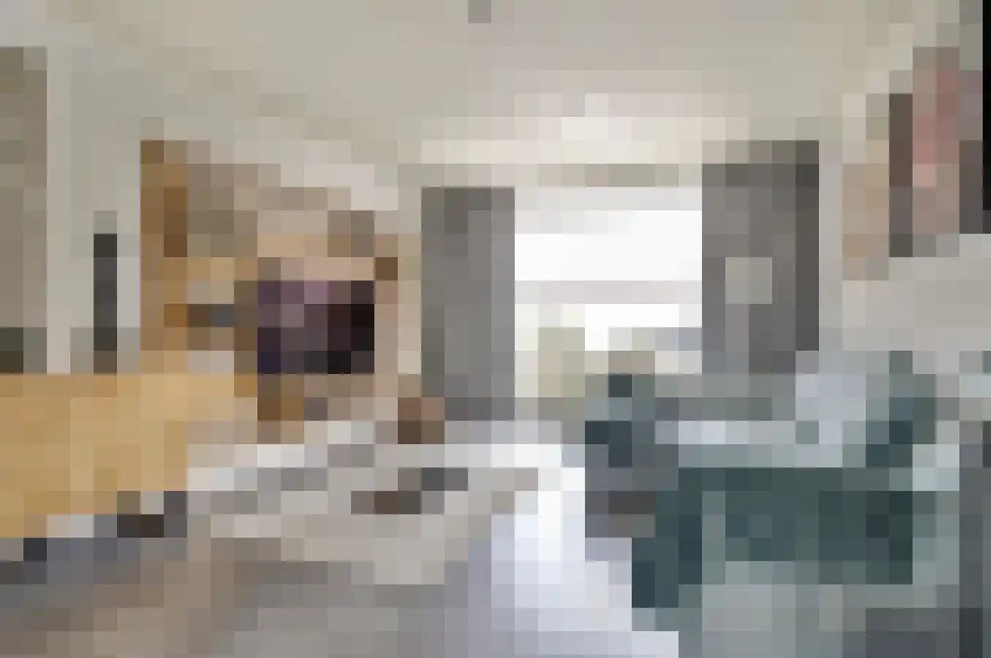 Dorpsstraat 35 Eckelrade thumbnail 18