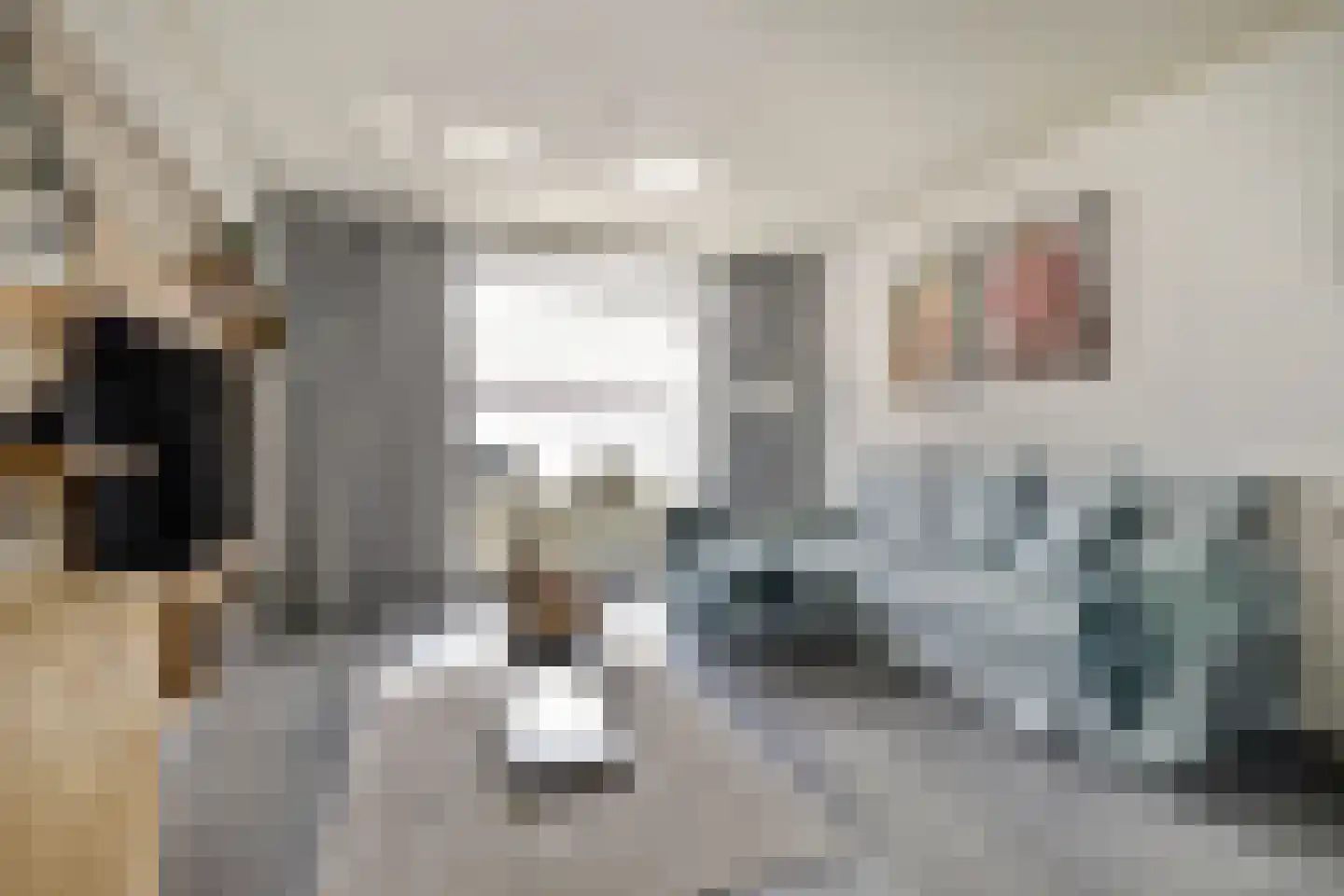 Dorpsstraat 35 Eckelrade thumbnail 19