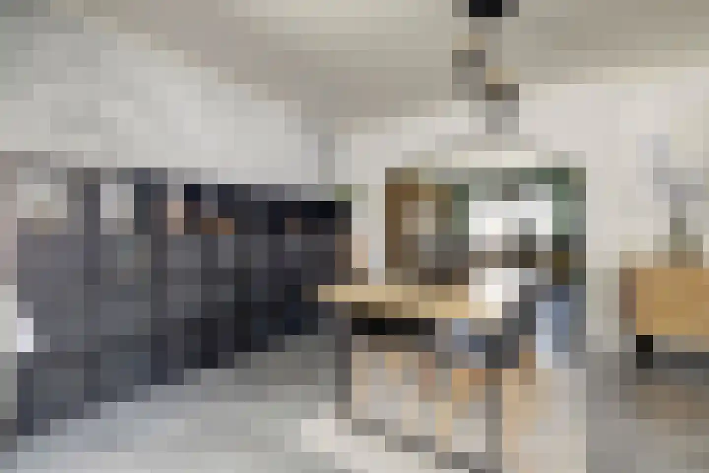 Dorpsstraat 35 Eckelrade thumbnail 25
