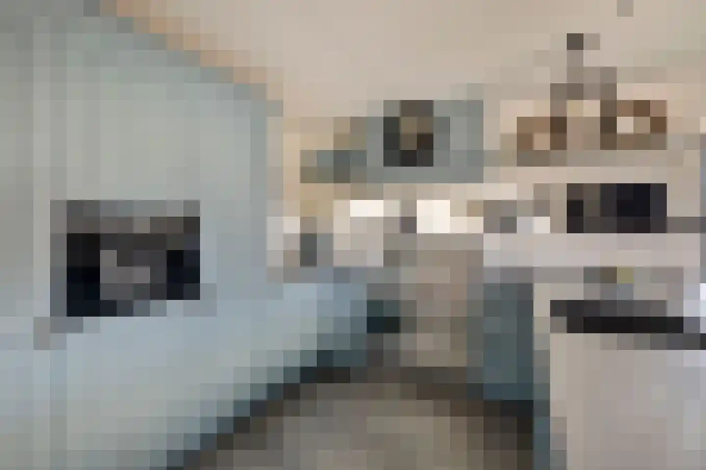 Dorpsstraat 35 Eckelrade thumbnail 28