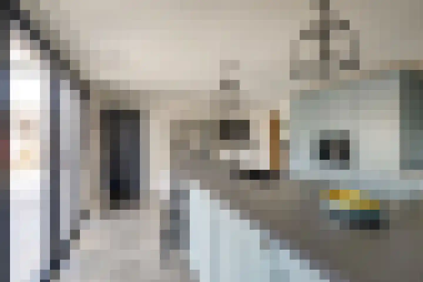 Dorpsstraat 35 Eckelrade thumbnail 29