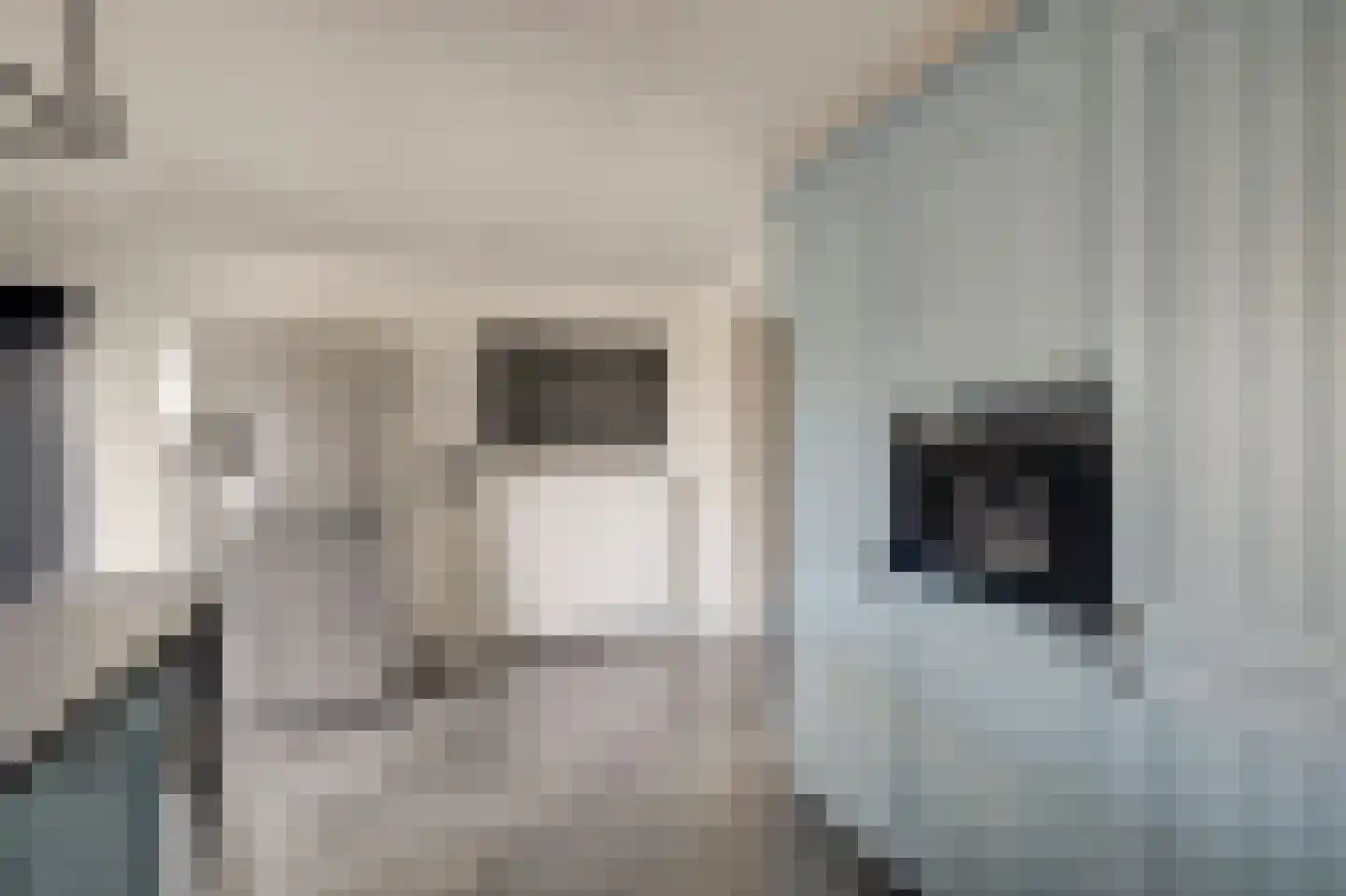 Dorpsstraat 35 Eckelrade thumbnail 30