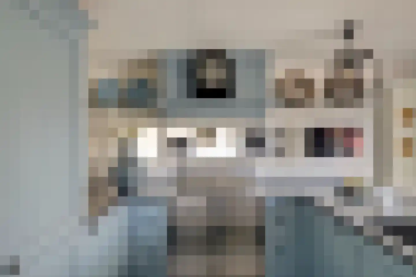 Dorpsstraat 35 Eckelrade thumbnail 31