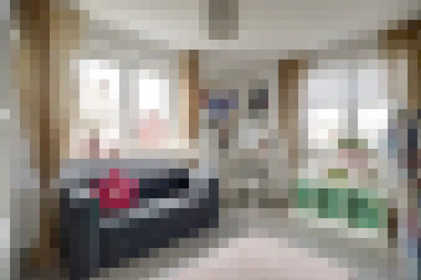 Dorpsstraat 35 Eckelrade thumbnail 38