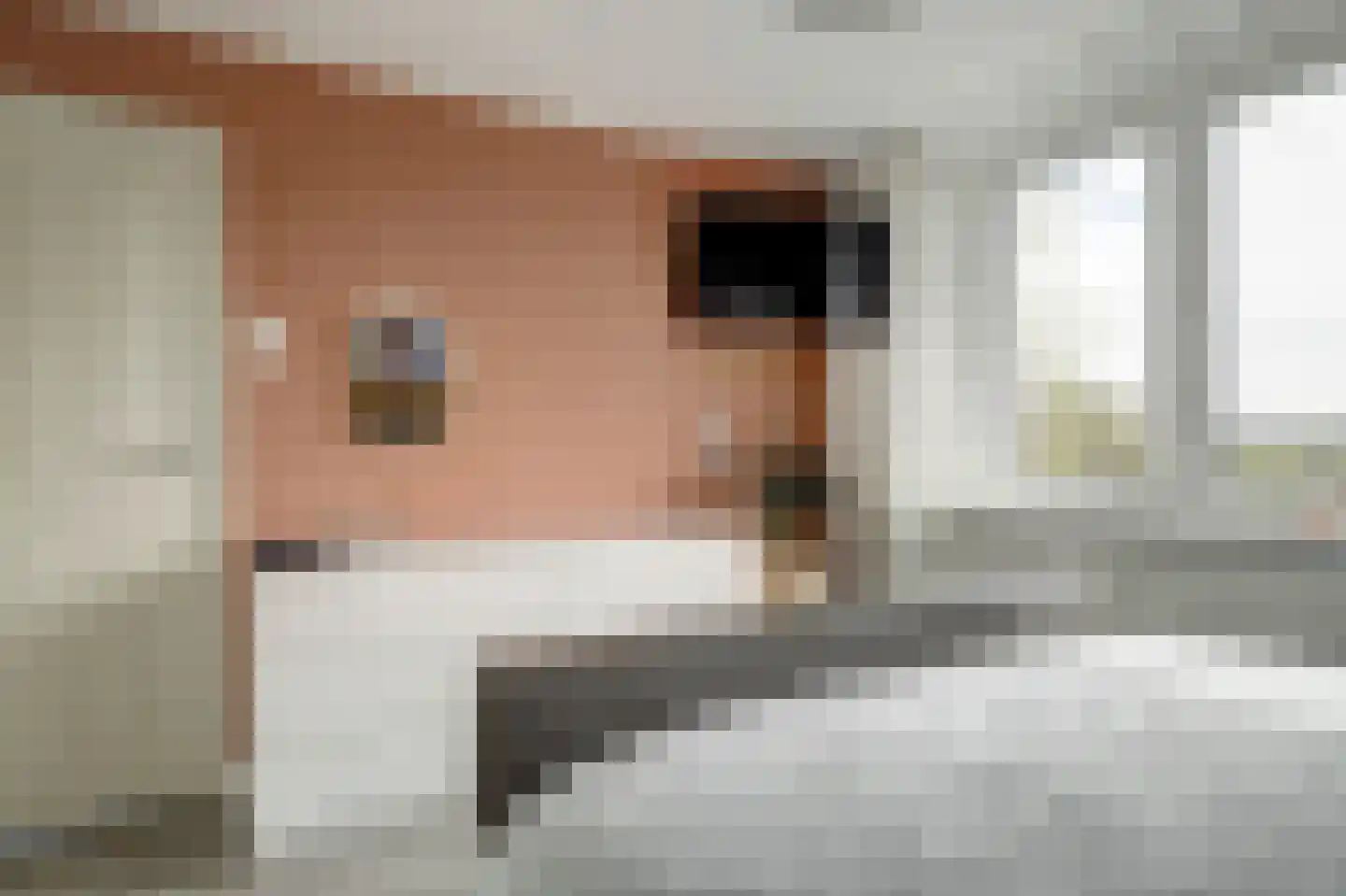 Dorpsstraat 35 Eckelrade thumbnail 39