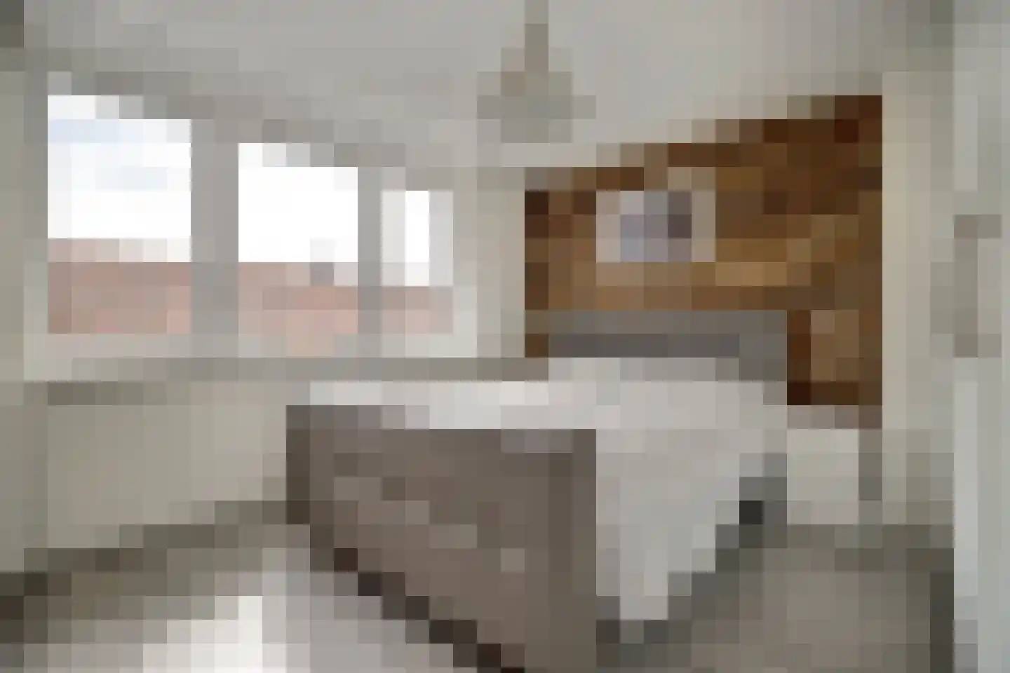 Dorpsstraat 35 Eckelrade thumbnail 40