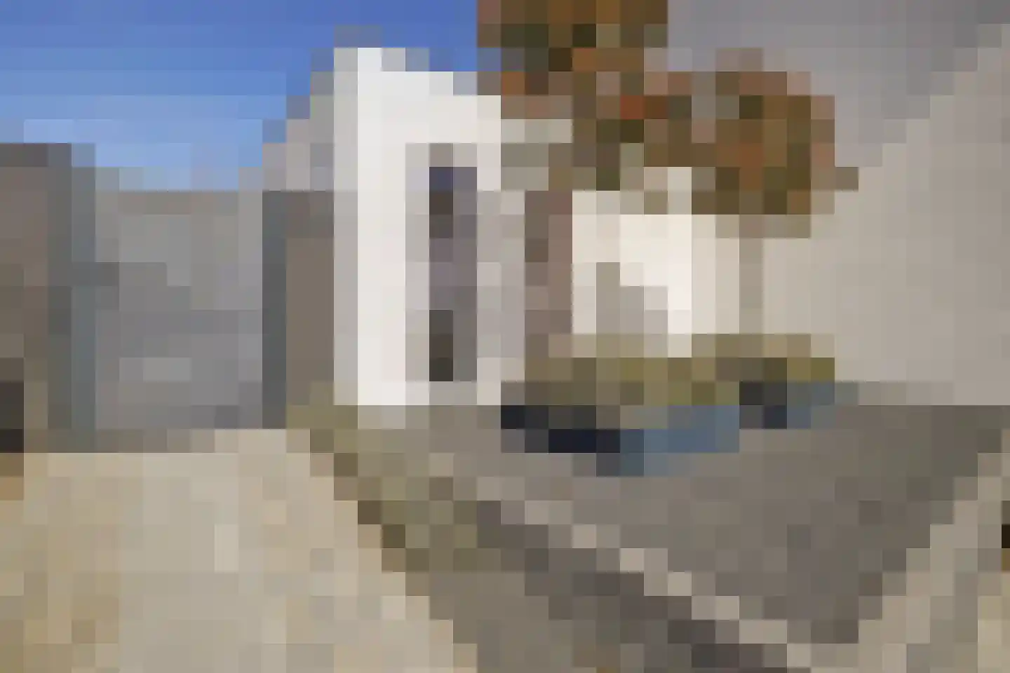 Dorpsstraat 35 Eckelrade thumbnail 49