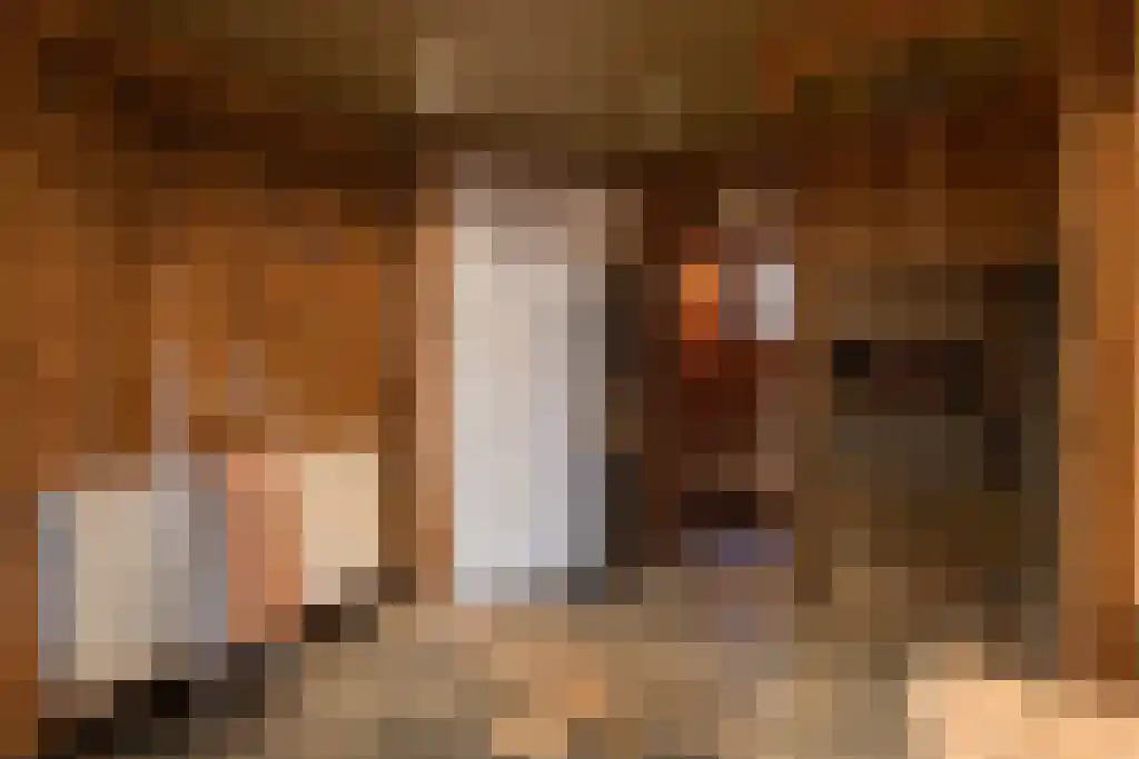 Dorpsstraat 35 Gasselte thumbnail 13