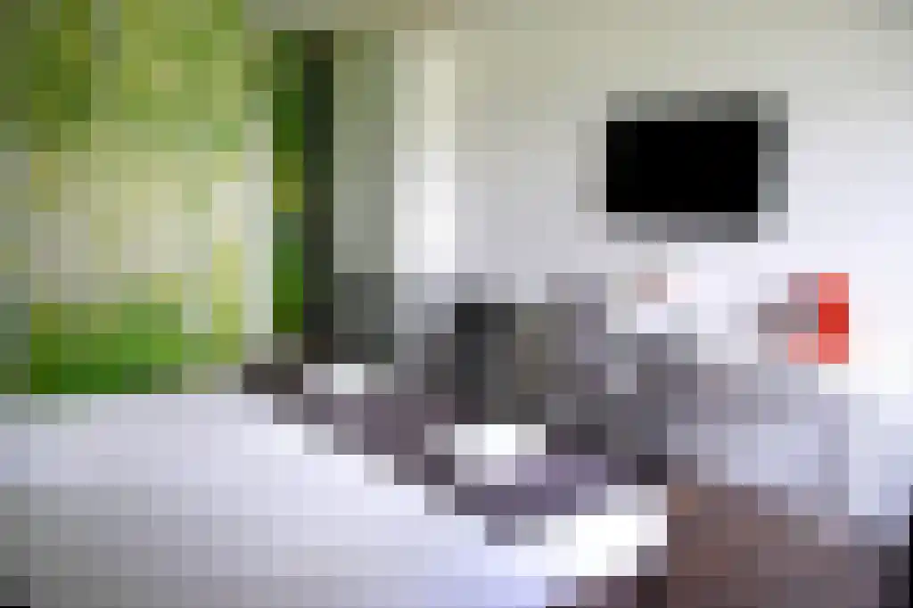 Dorpsstraat 35 Gasselte thumbnail 17