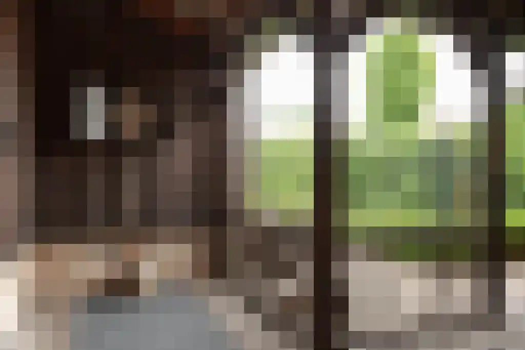 Dorpsstraat 35 Gasselte thumbnail 18