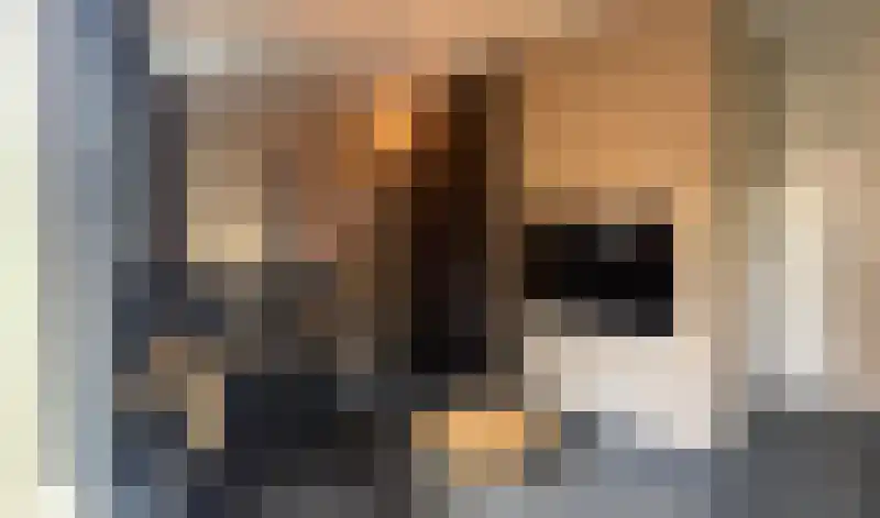 Dorpsstraat 35 Gasselte thumbnail 5