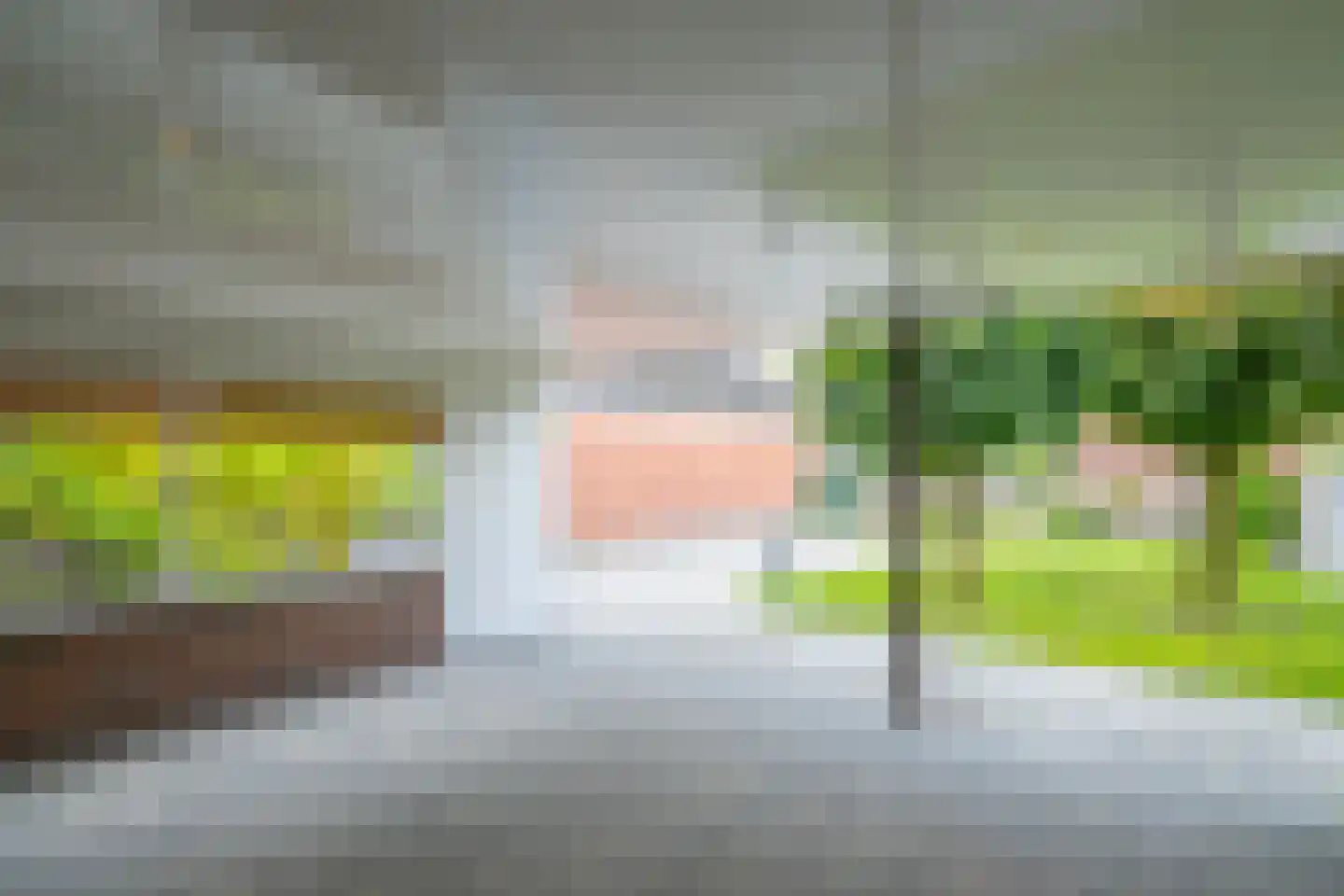 Dorpsstraat 35 Halle thumbnail 43