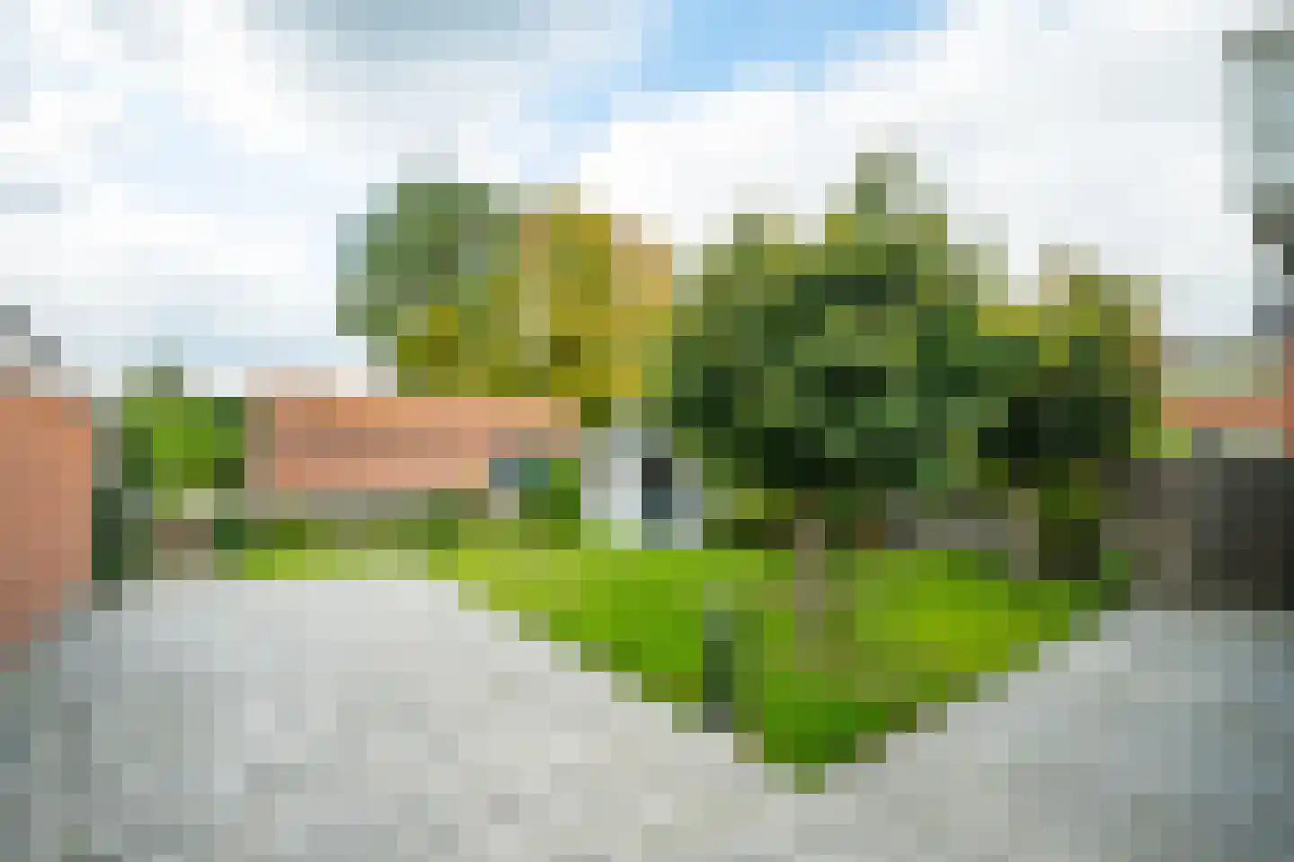 Dorpsstraat 35 Halle thumbnail 44