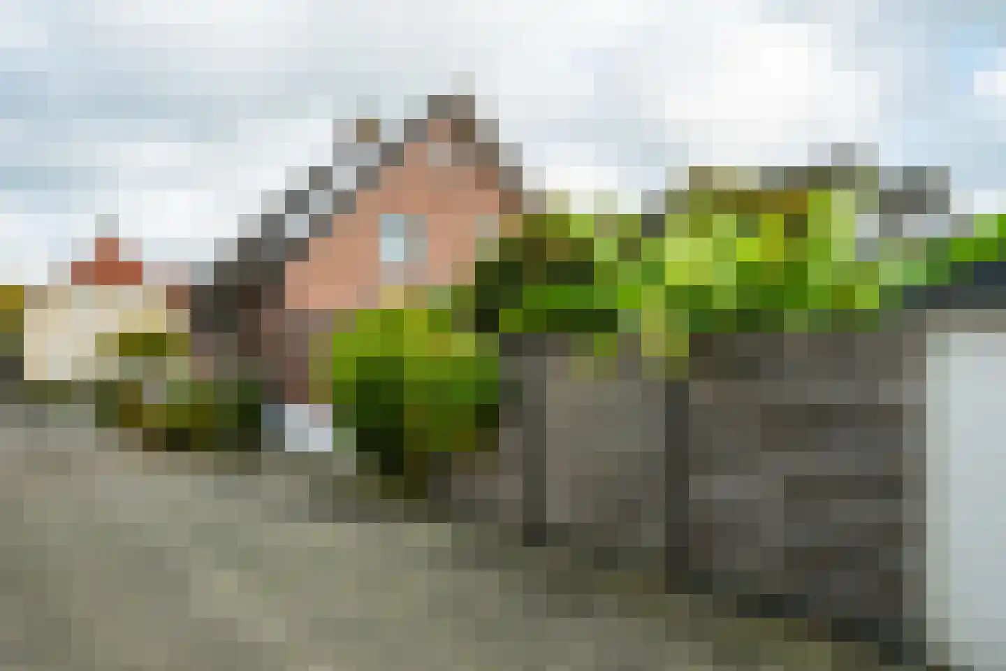 Dorpsstraat 35 Halle thumbnail 47