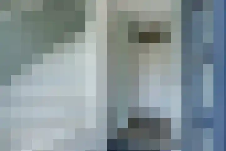 Dorpsstraat 35 Haringhuizen thumbnail 17