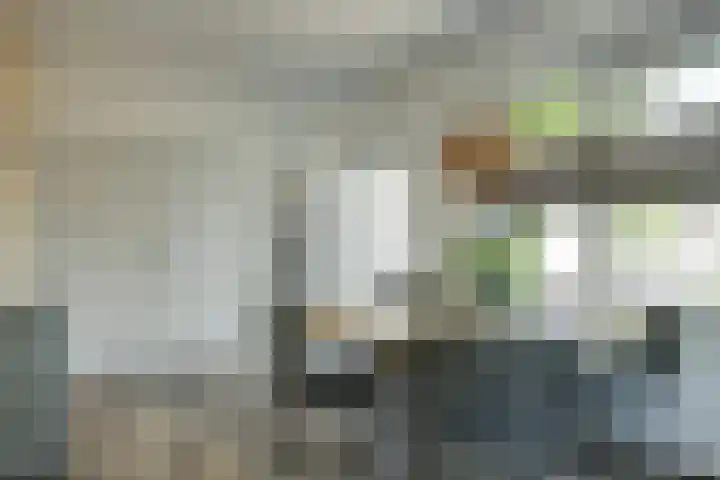 Dorpsstraat 35 Haringhuizen thumbnail 8
