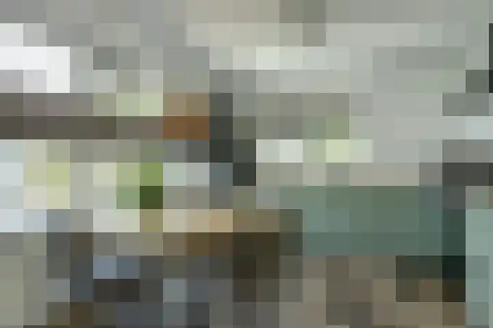 Dorpsstraat 35 Haringhuizen thumbnail 9