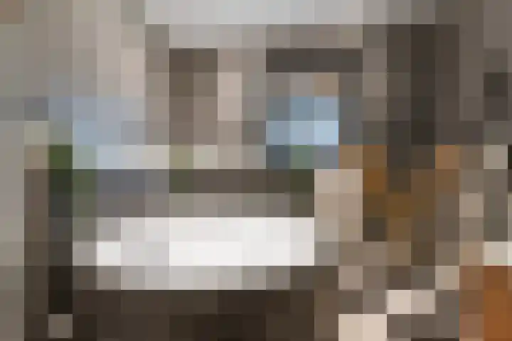 Dorpsstraat 35 Rheden thumbnail 22