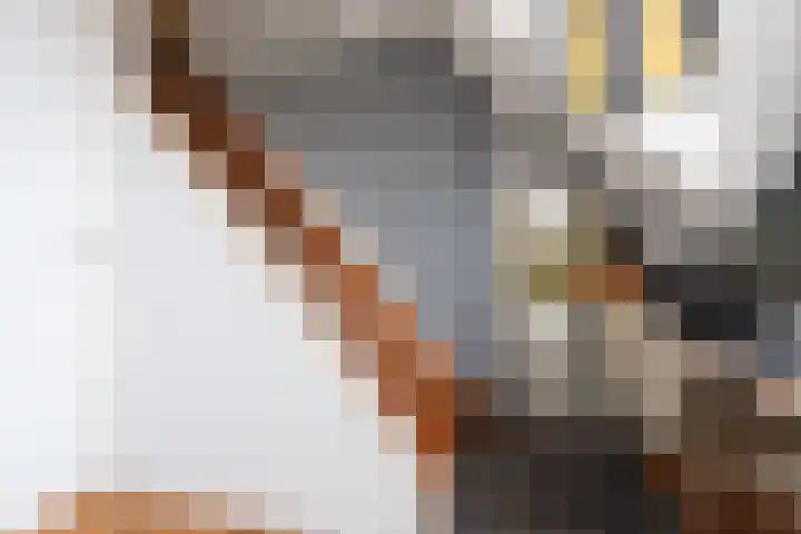 Dorpsstraat 35 Rheden thumbnail 31