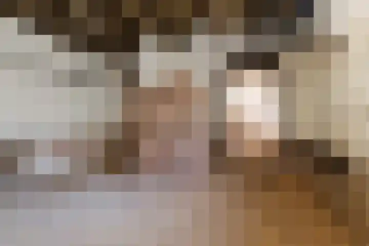 Dorpsstraat 35 Rheden thumbnail 34