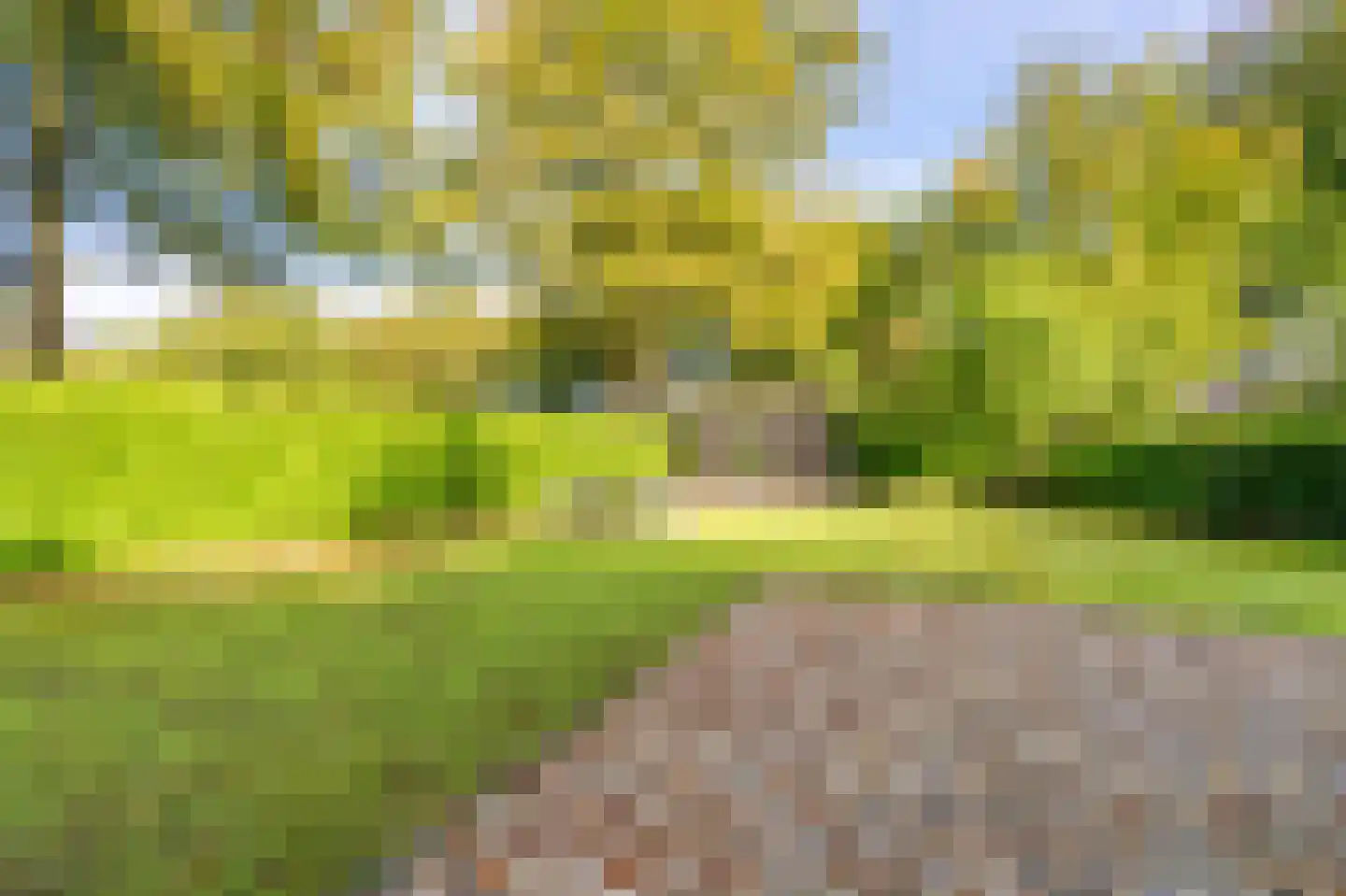 Dorpsstraat 35 Sellingen thumbnail 16