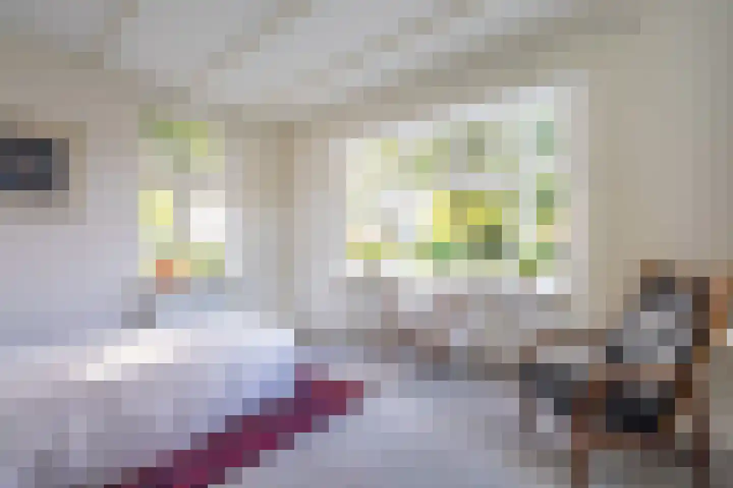 Dorpsstraat 35 Sellingen thumbnail 35