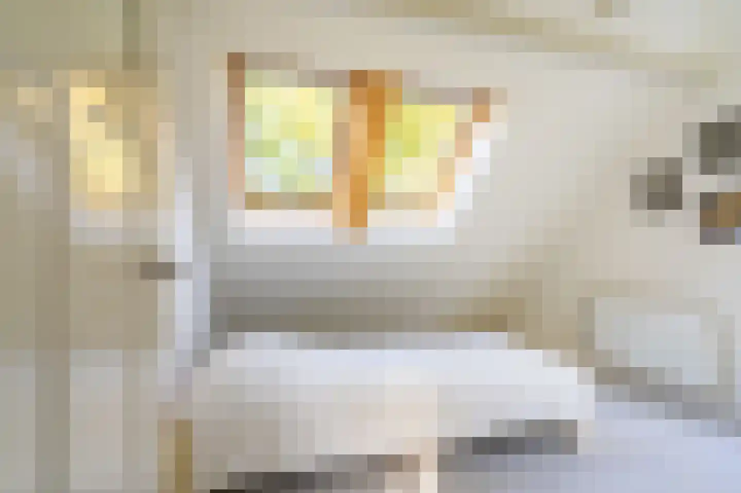 Dorpsstraat 35 Sellingen thumbnail 42
