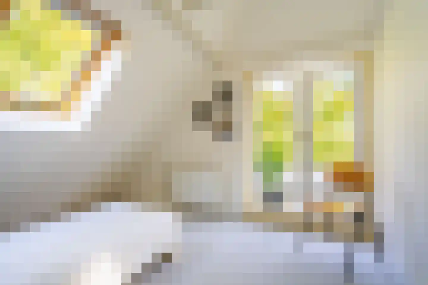 Dorpsstraat 35 Sellingen thumbnail 43