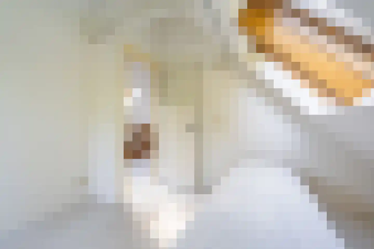 Dorpsstraat 35 Sellingen thumbnail 44