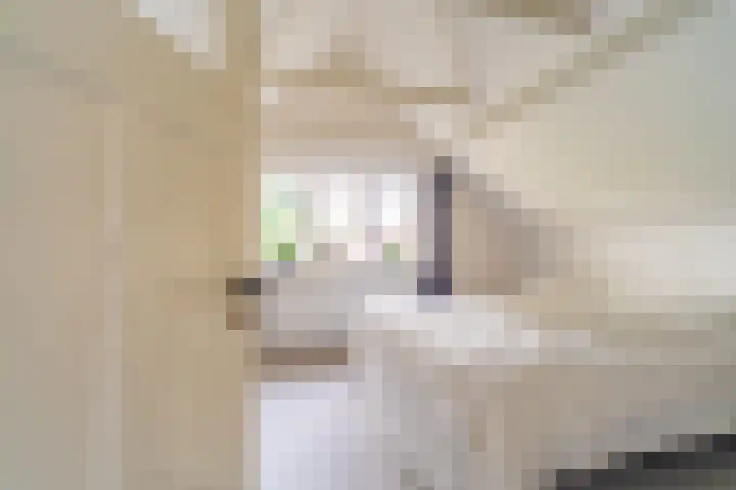 Dorpsstraat 35 Sellingen thumbnail 50