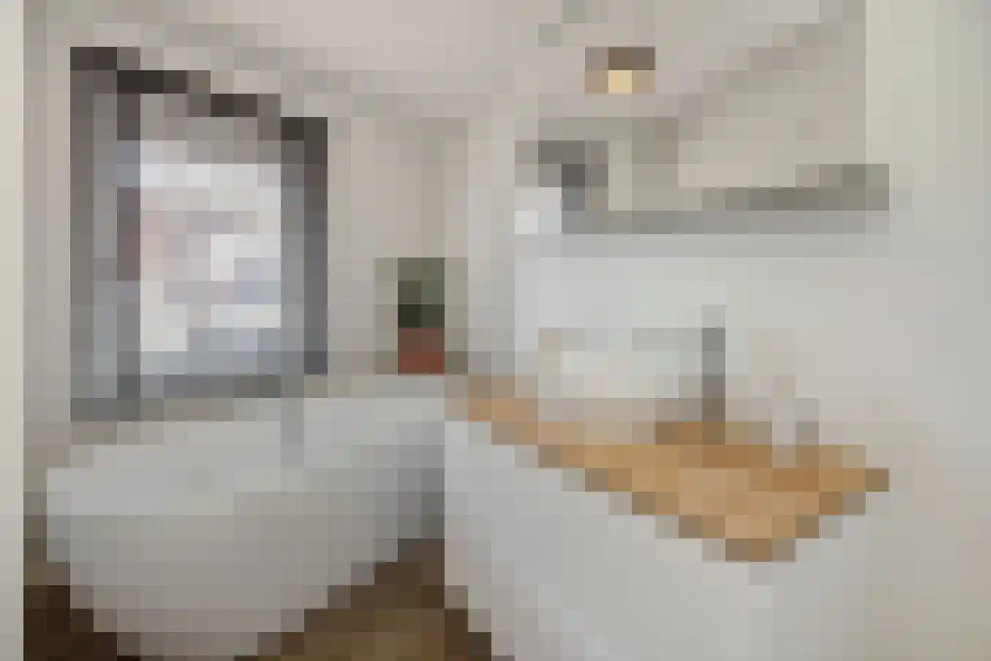 Dorpsstraat 35 Vught thumbnail 25