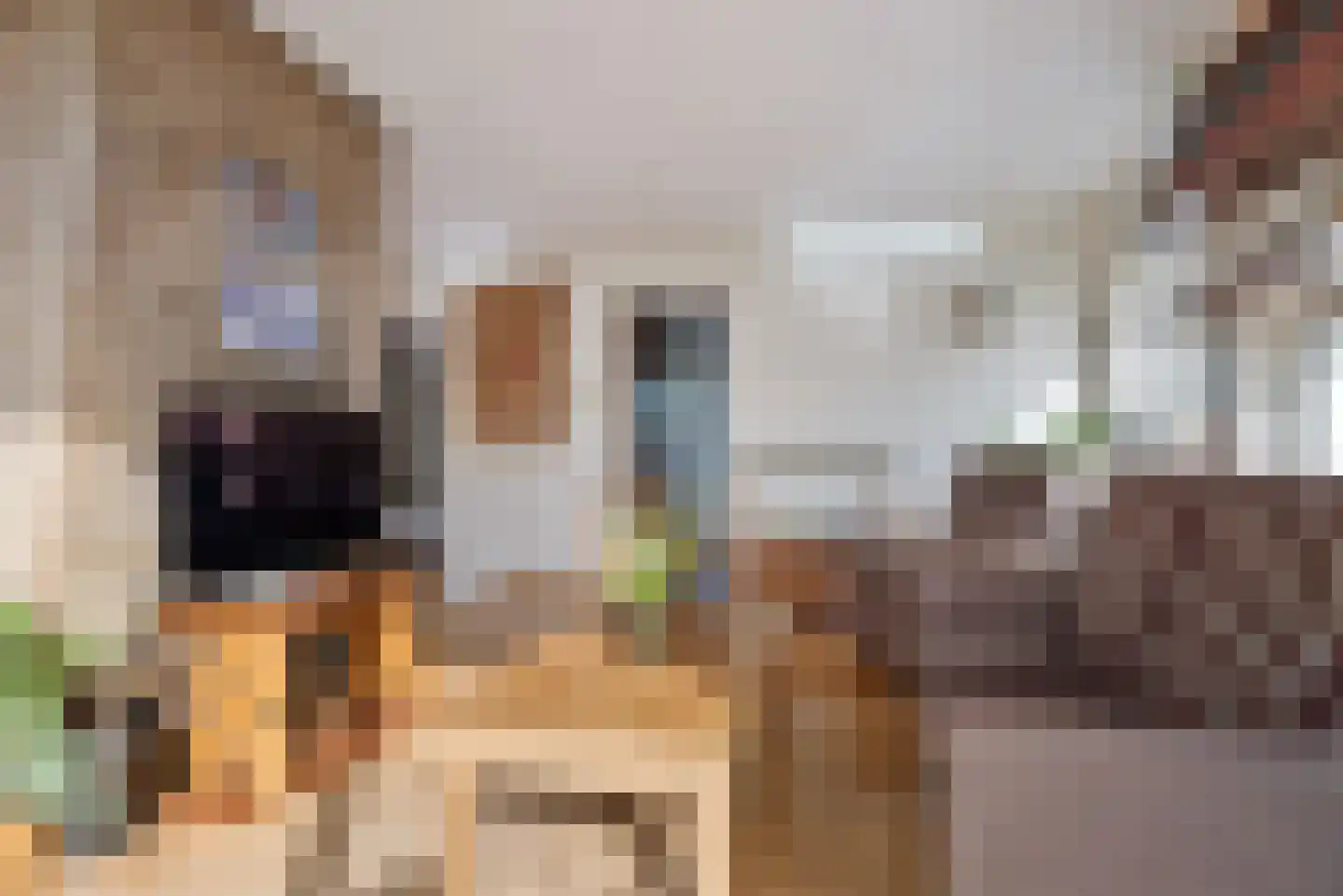 Dorpsstraat 35 Watergang thumbnail 21
