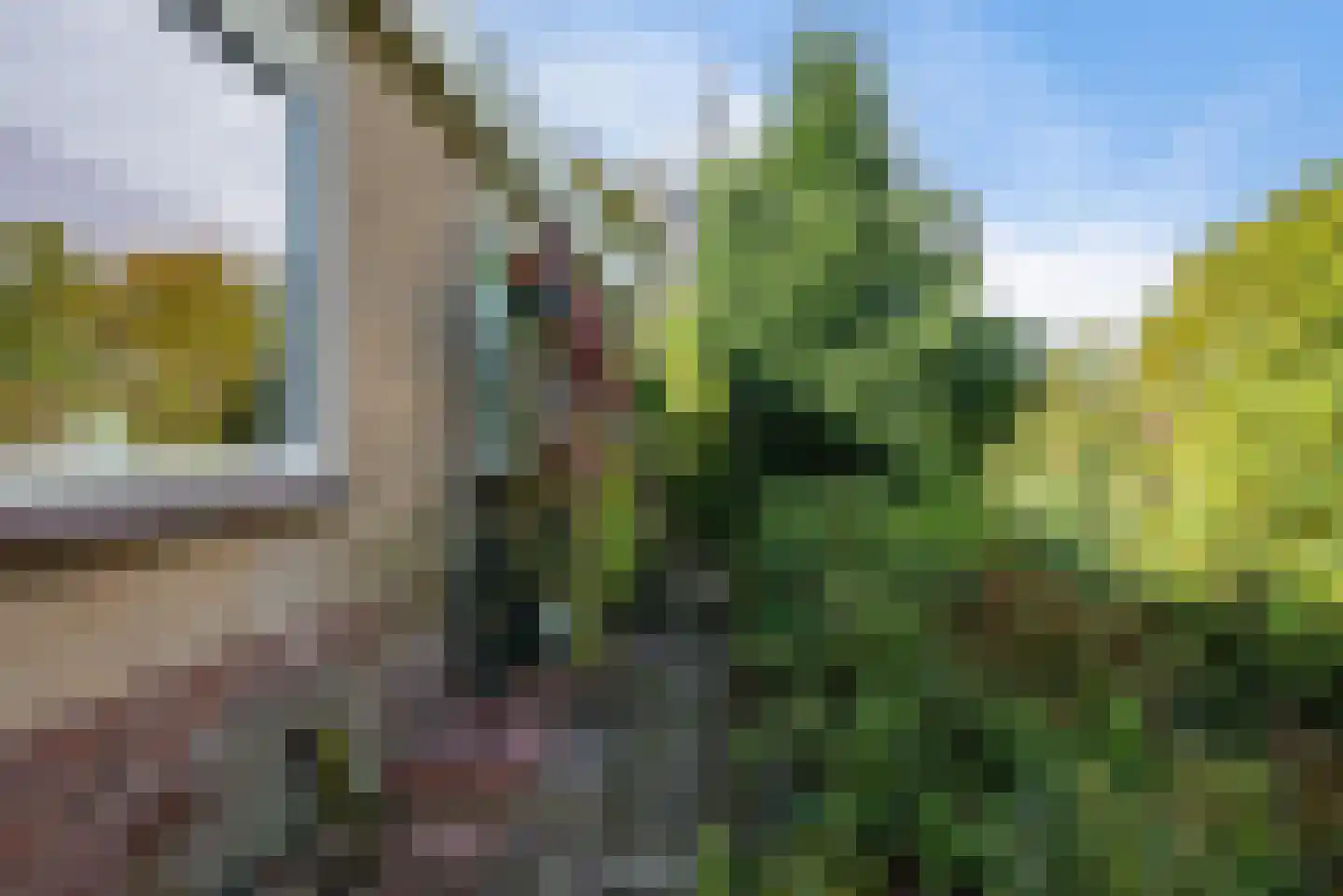 Dorpsstraat 35 Watergang thumbnail 59