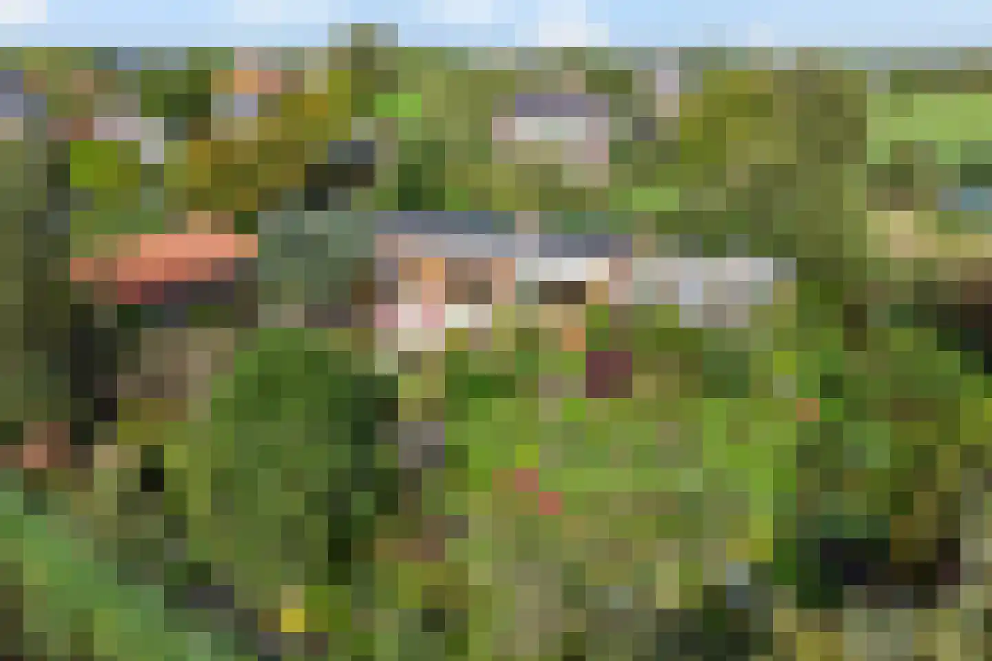 Dorpsstraat 35 Watergang thumbnail 6