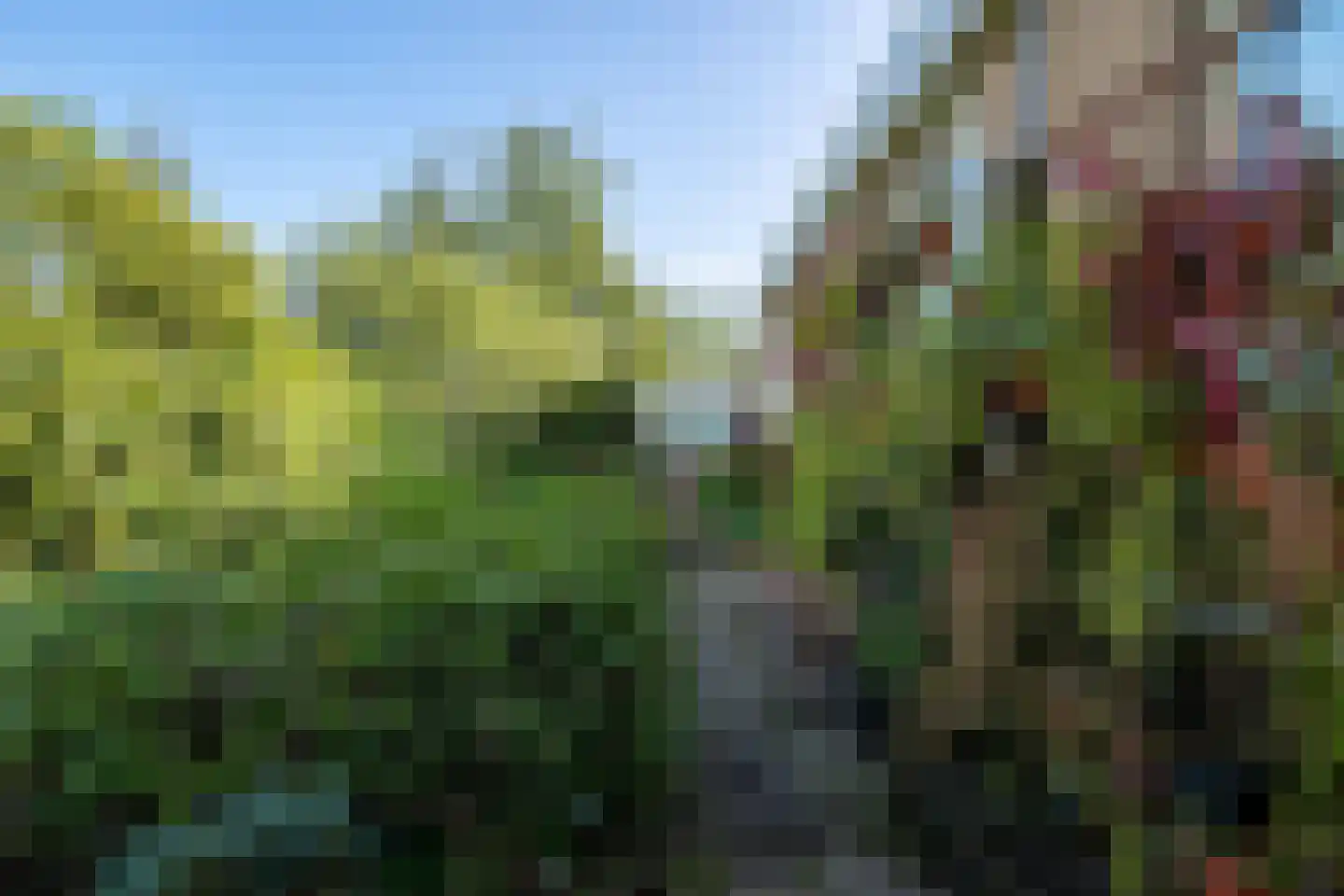 Dorpsstraat 35 Watergang thumbnail 60