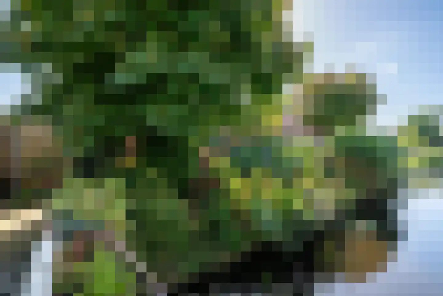 Dorpsstraat 35 Watergang thumbnail 9