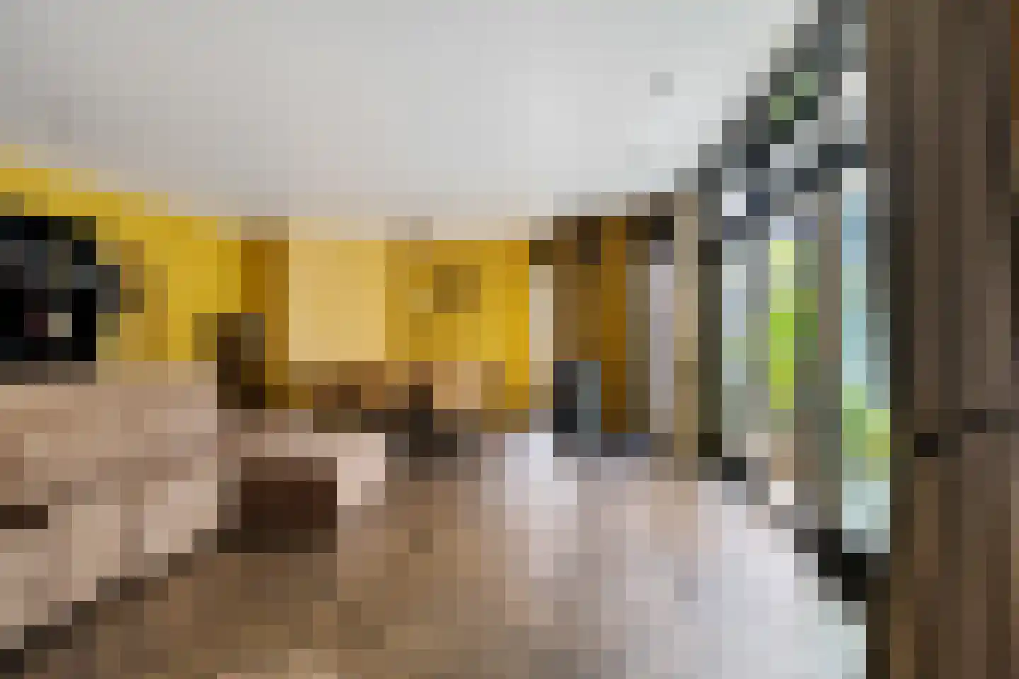 Dorpsstraat 36 de Wijk thumbnail 11