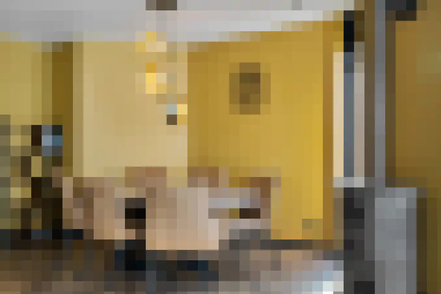 Dorpsstraat 36 de Wijk thumbnail 19