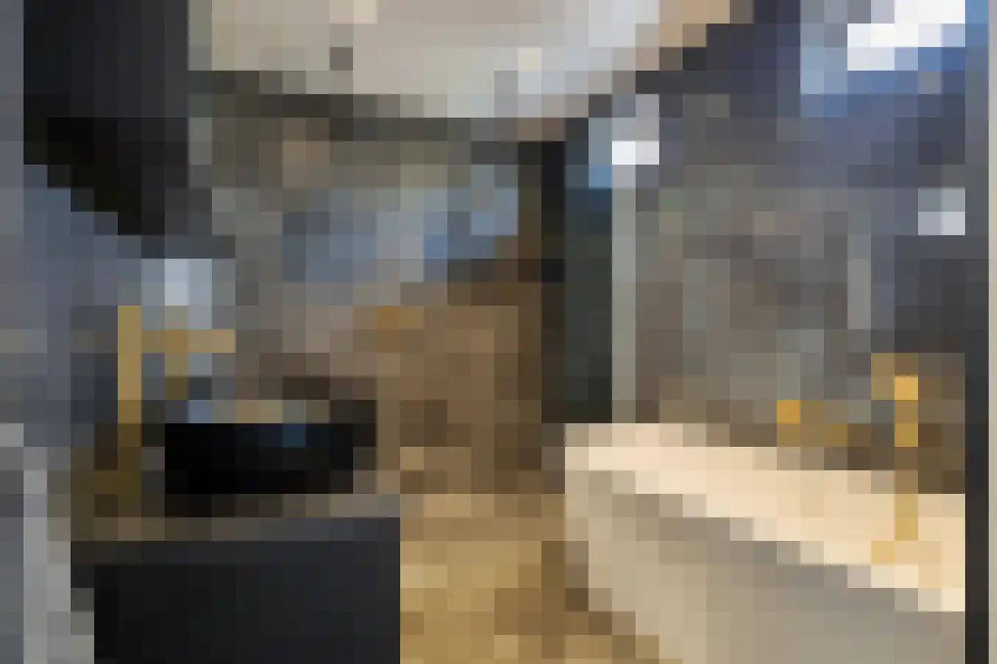 Dorpsstraat 36 de Wijk thumbnail 31