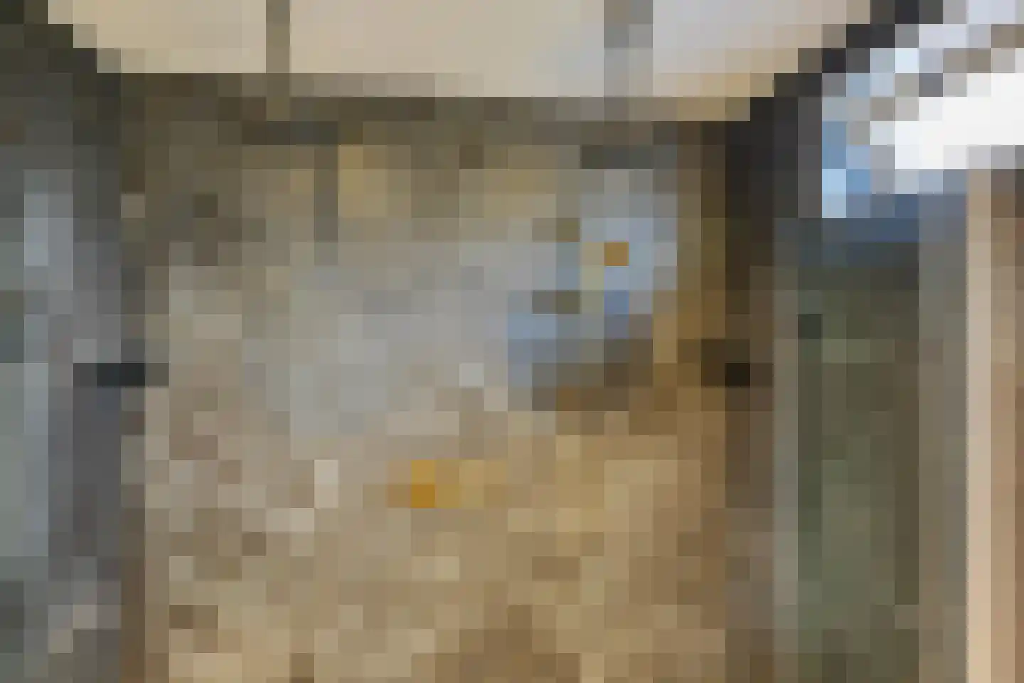 Dorpsstraat 36 de Wijk thumbnail 32