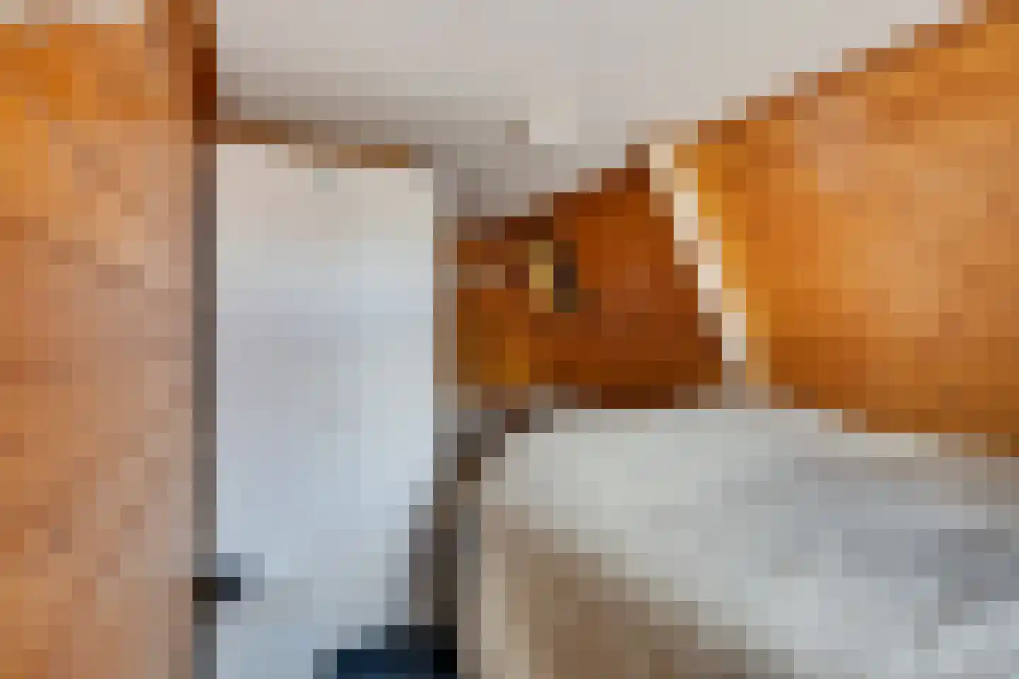 Dorpsstraat 36 de Wijk thumbnail 38