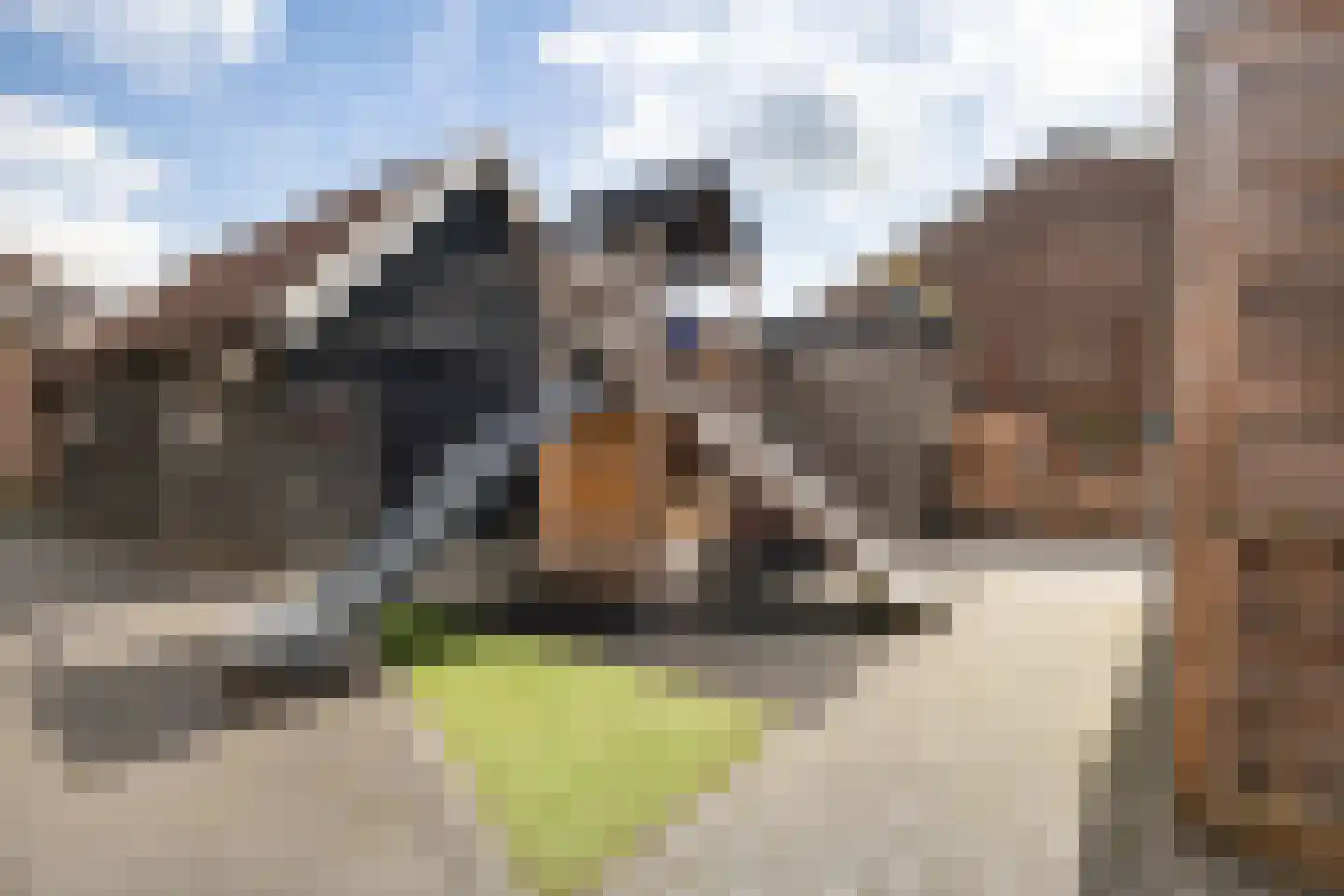 Dorpsstraat 36 de Wijk thumbnail 48