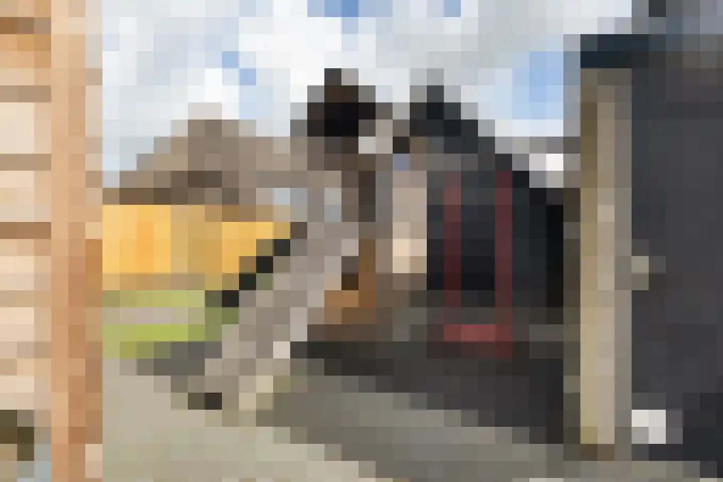 Dorpsstraat 36 de Wijk thumbnail 49