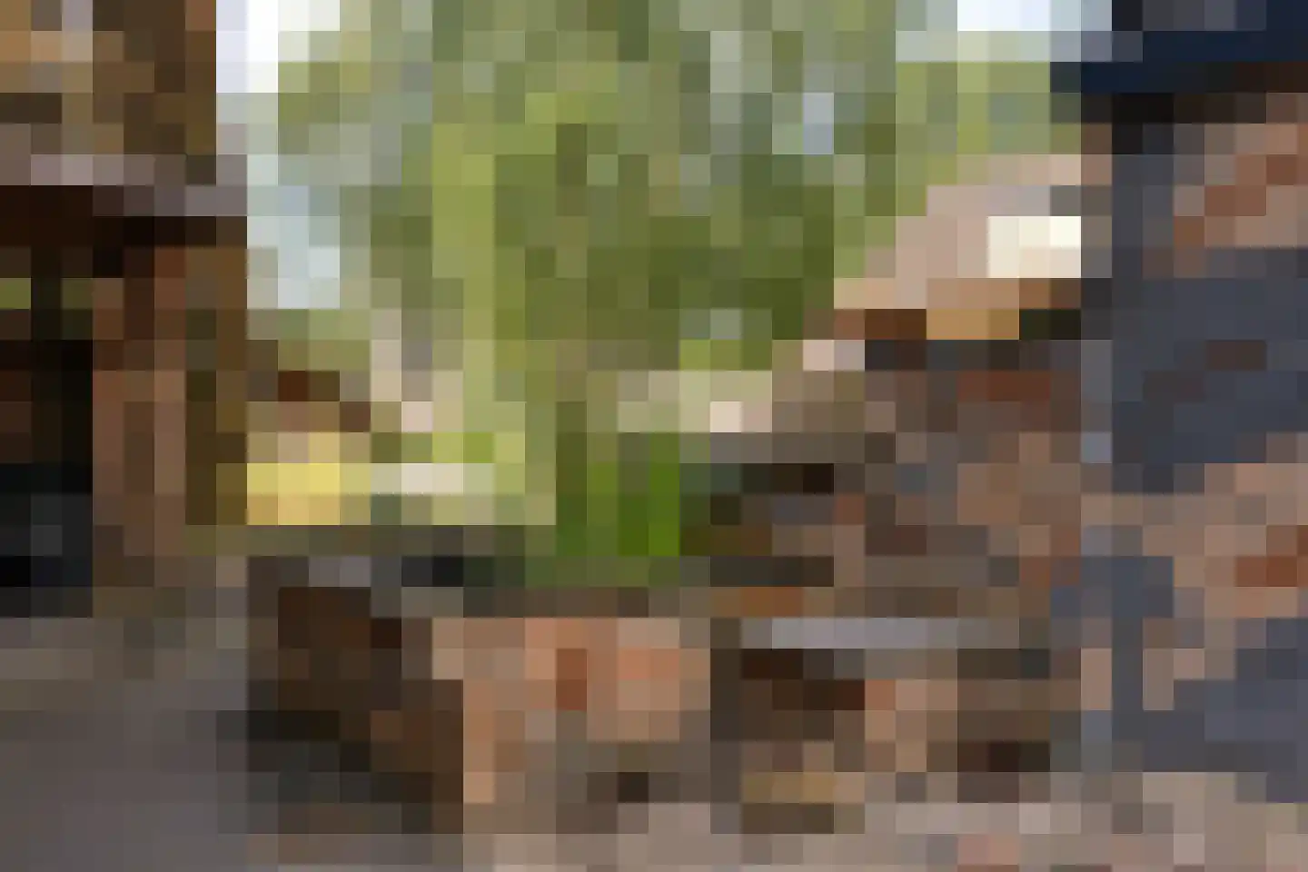 Dorpsstraat 36 de Wijk thumbnail 54