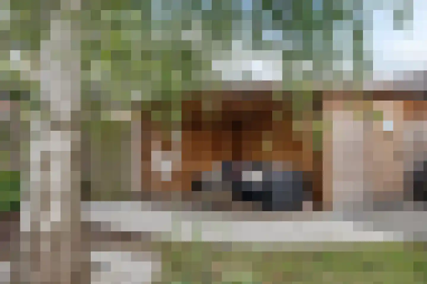 Dorpsstraat 36 de Wijk thumbnail 56