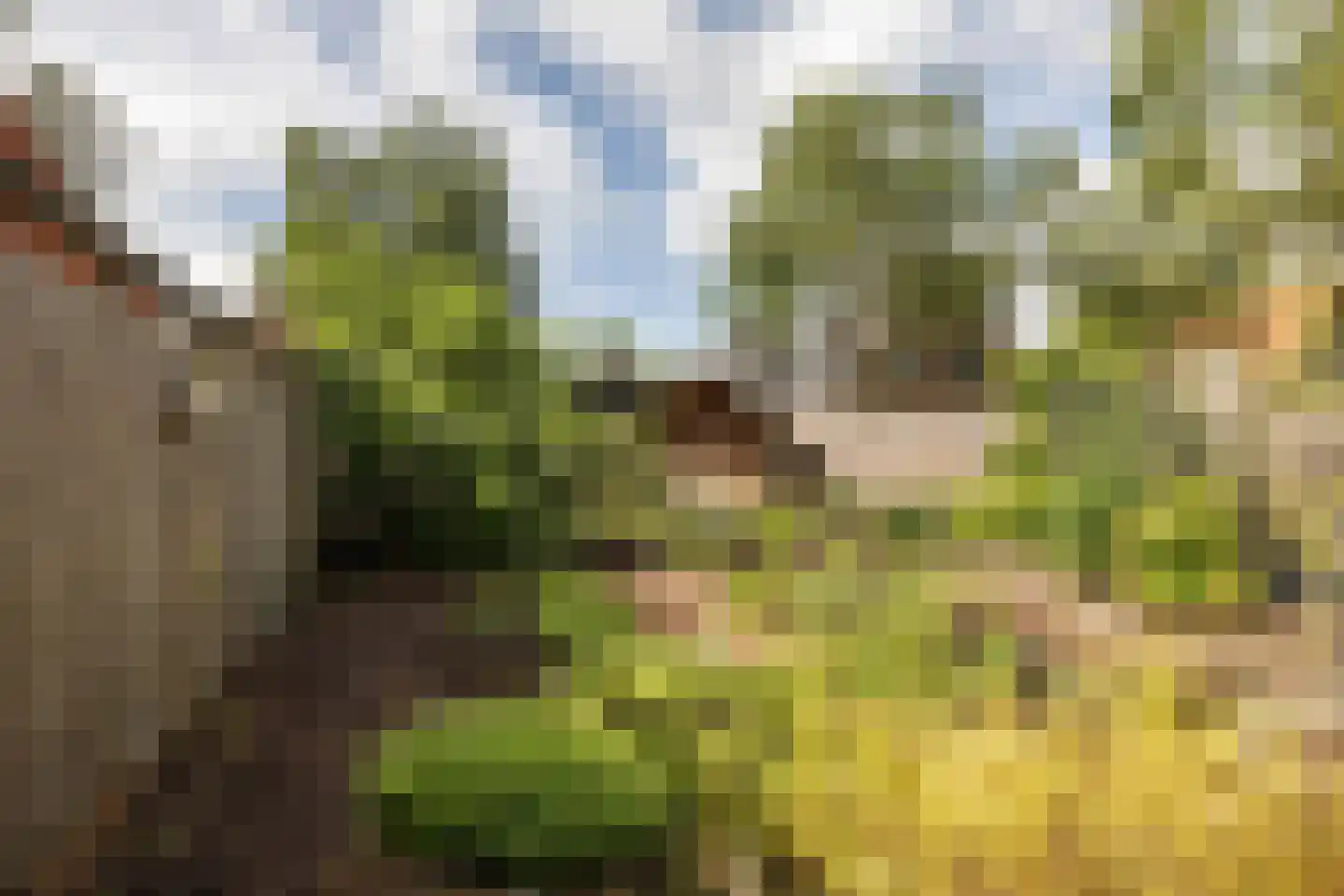 Dorpsstraat 36 de Wijk thumbnail 57